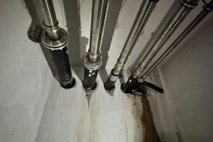 NIRON_ALL_PRO_MULTINUPI_SIENA_RTA_15.jpg