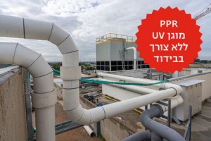 ElieMaxKichka-web-17.jpg