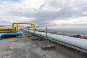ElieMaxKichka-web-18.jpg