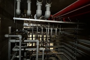 IMG_2711.JPEG