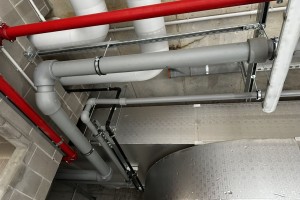 IMG_2717.JPEG