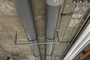 IMG_3149.JPEG
